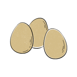 Eggs and Their Products