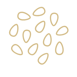 Sesame Seeds and Their Products