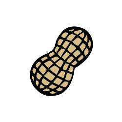 Peanuts and Their Products