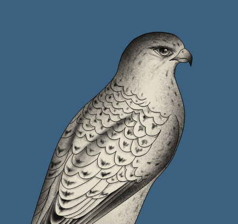 مياه معدنية