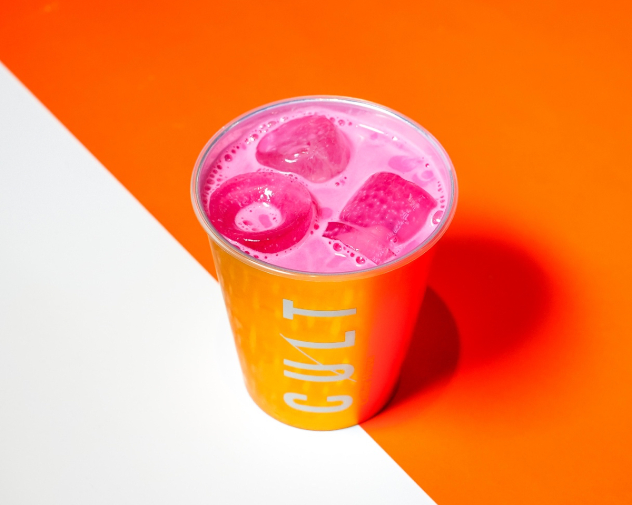 كالت سيجنتشر مثلج