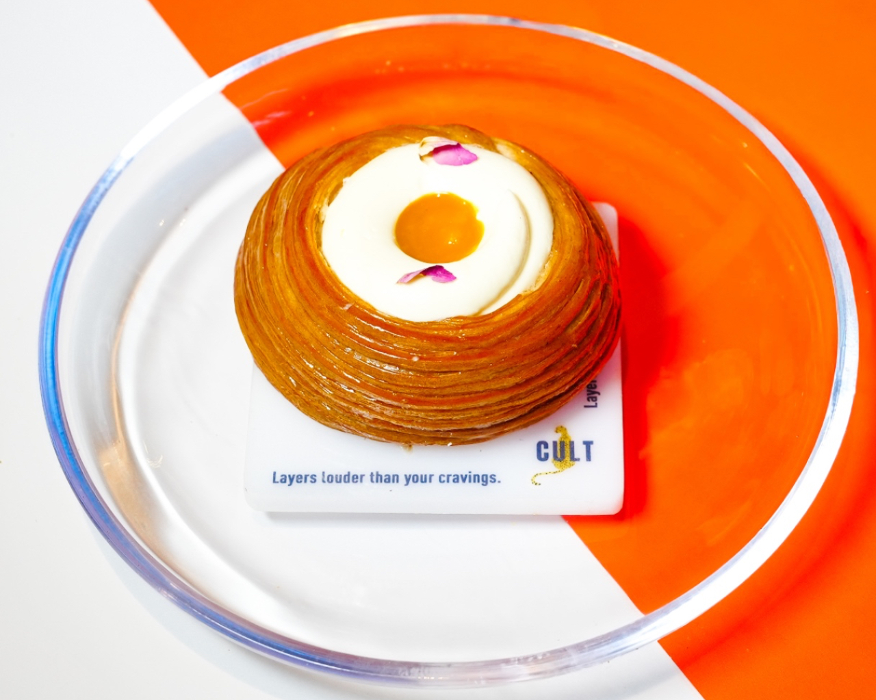 دانيش مانجا